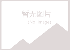 霞山区问旋化学有限公司